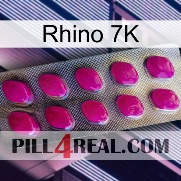 Rhino 7K 09.jpg